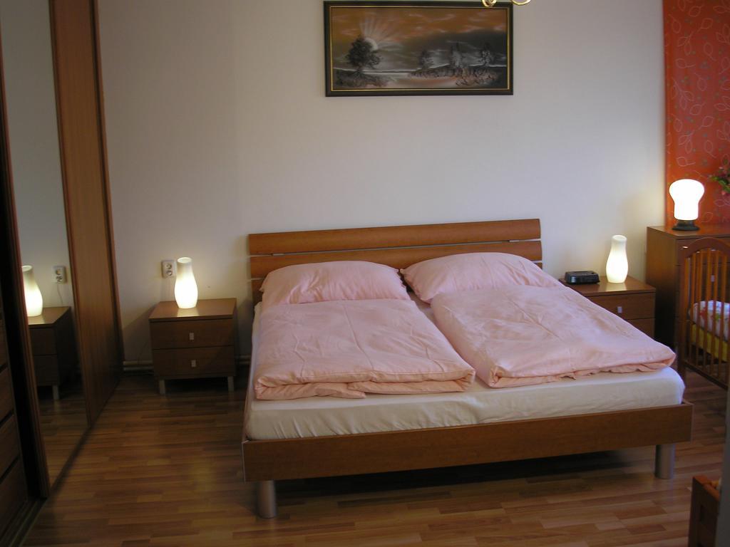 Vacation Apartment Up To 10 Братислава Стая снимка